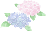 あじさい寺